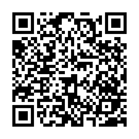 QR code for 387PD