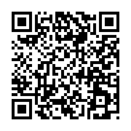 QR code for 387QO