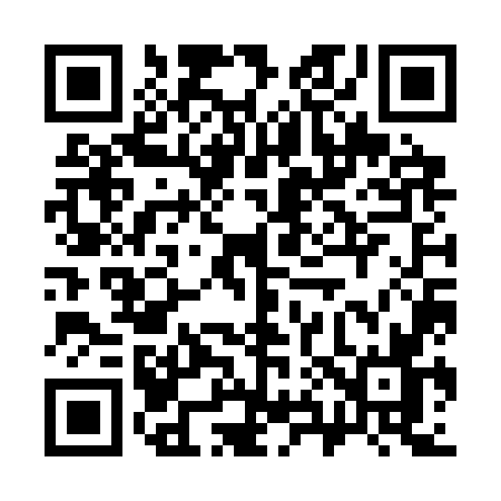 QR code for 387S