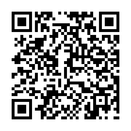 QR code for 387SAS