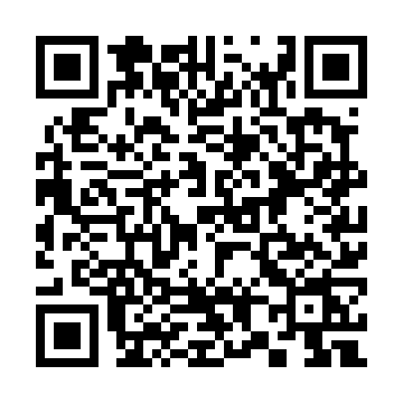 QR code for 387T