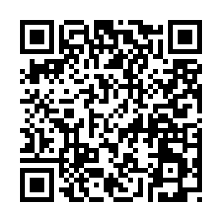 QR code for 387TN
