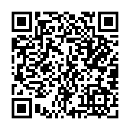 QR code for 387VO