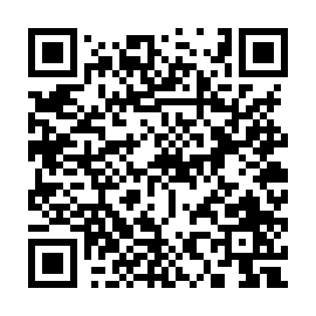 QR code for 387XP