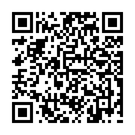 QR code for 387Z
