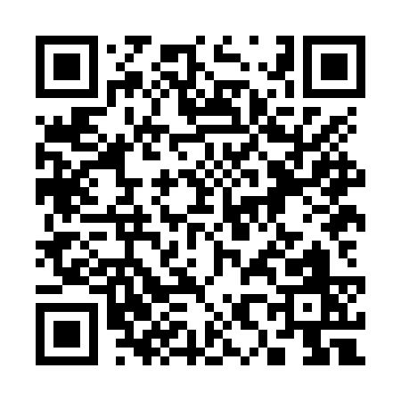 QR code for 388NS
