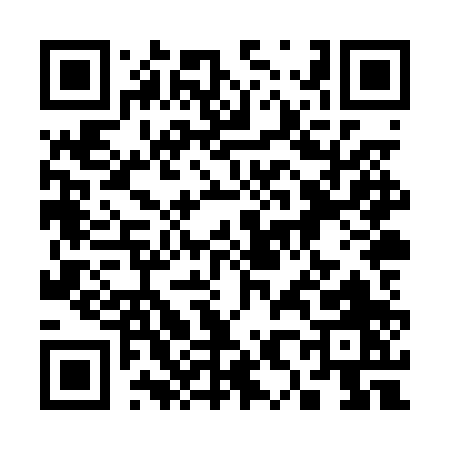 QR code for 388PP