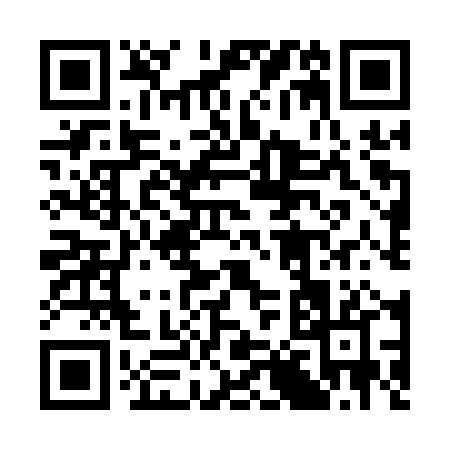 QR code for 389AP