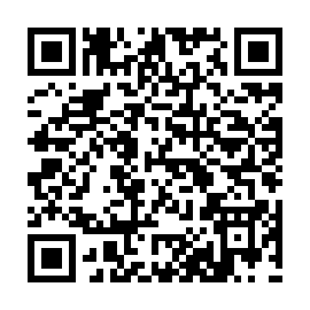 QR code for 389IA