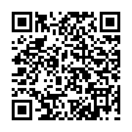 QR code for 389IC