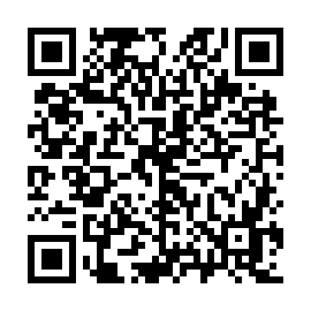 QR code for 389O