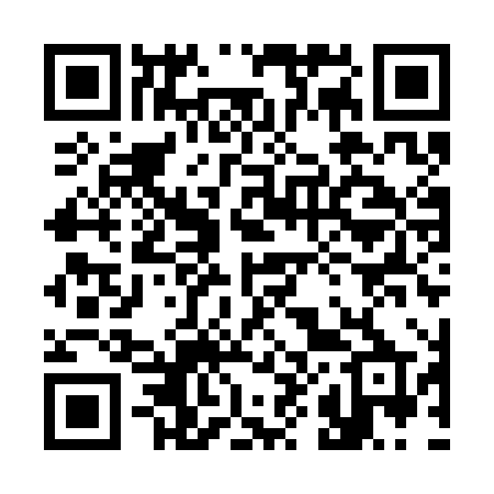 QR code for 389SHP