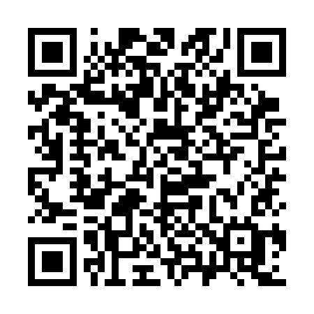 QR code for 389SKG
