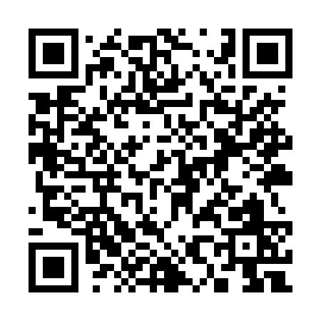 QR code for 389TS