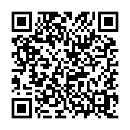 QR code for 389ZIM