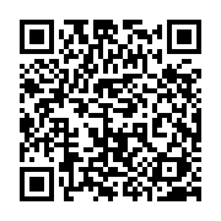 QR code for 390IBI