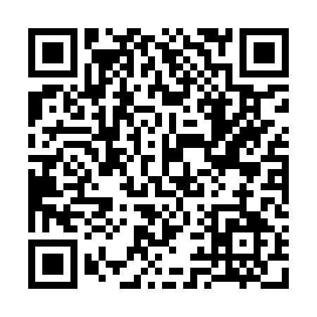QR code for 390IQ