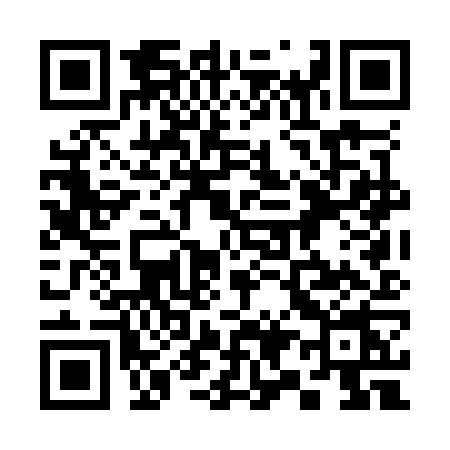 QR code for 390O