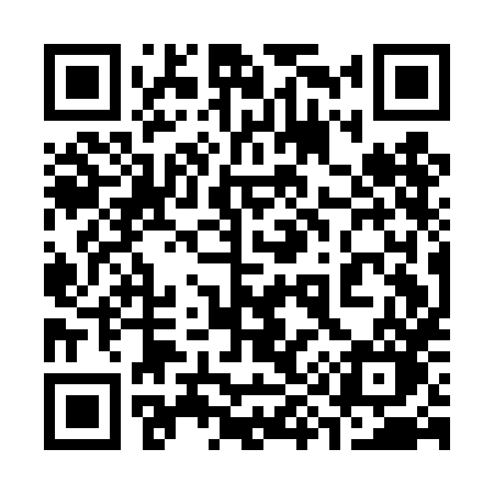 QR code for 391DHO