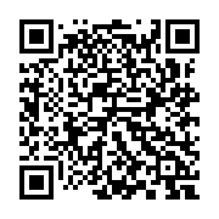 QR code for 391ILD
