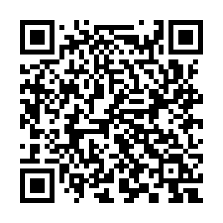 QR code for 391IZL