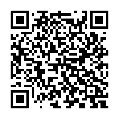 QR code for 393APC