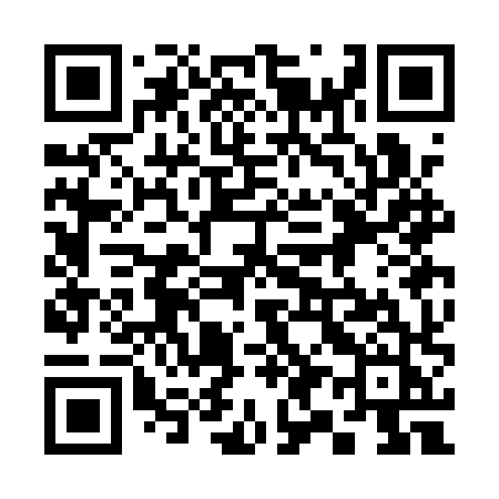QR code for 393AXJ