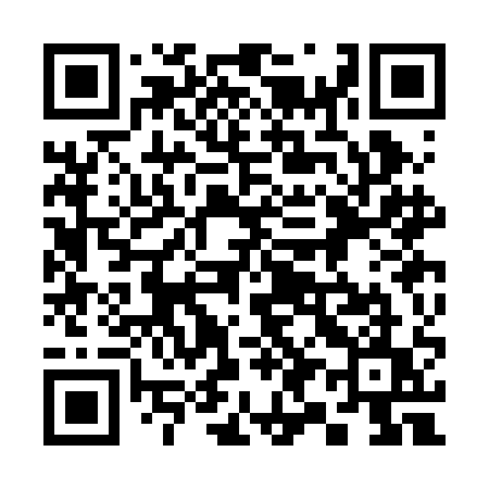 QR code for 393BAU