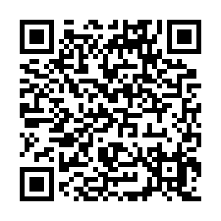 QR code for 393BP