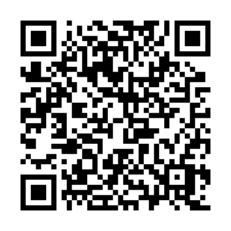 QR code for 393BSV