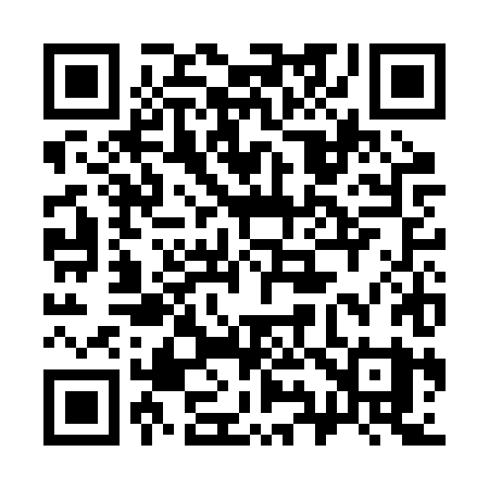 QR code for 393BXY