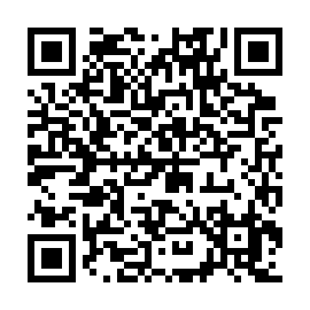 QR code for 393CZ