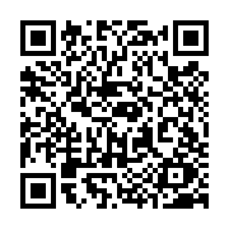 QR code for 393D