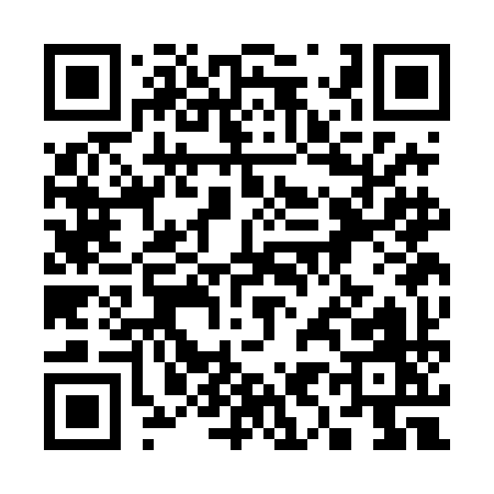 QR code for 393DI