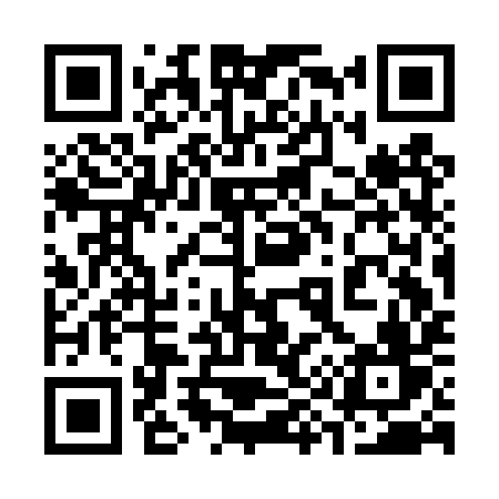 QR code for 393DYV