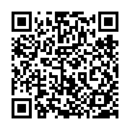 QR code for 393FIM