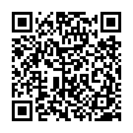 QR code for 393GFS