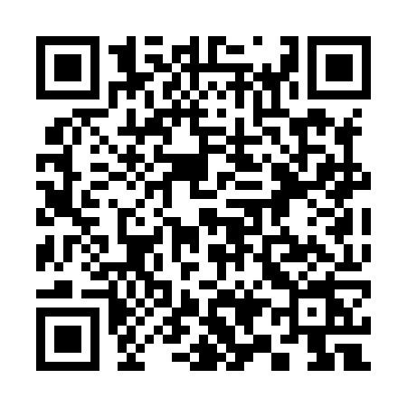 QR code for 393H