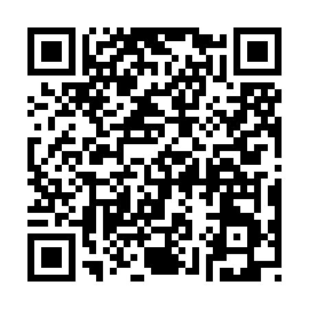QR code for 393HF