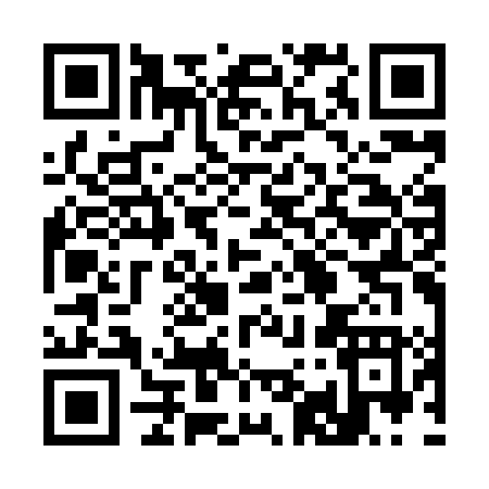 QR code for 393HL