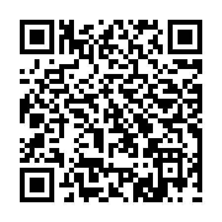 QR code for 393HZ