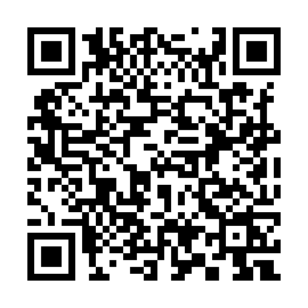 QR code for 393I