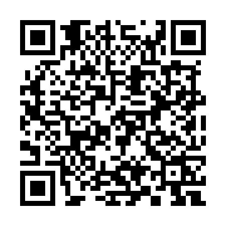QR code for 393M