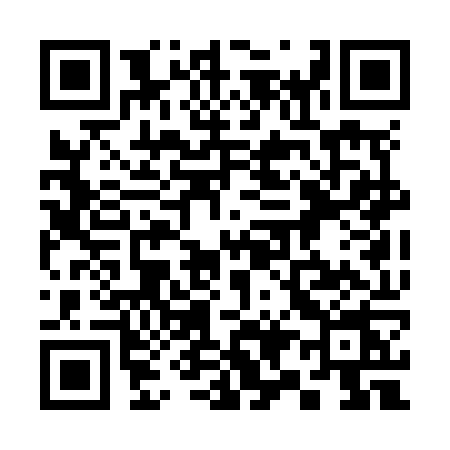 QR code for 393N
