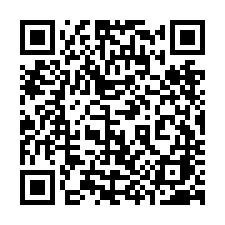 QR code for 393NNA