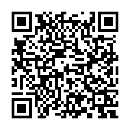 QR code for 393O
