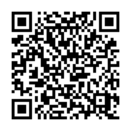 QR code for 393OHX
