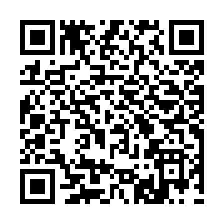 QR code for 393OR