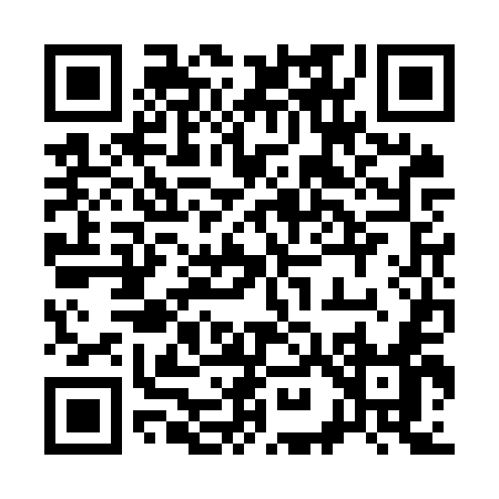 QR code for 393OU