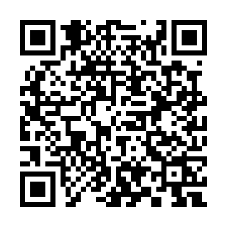 QR code for 393P